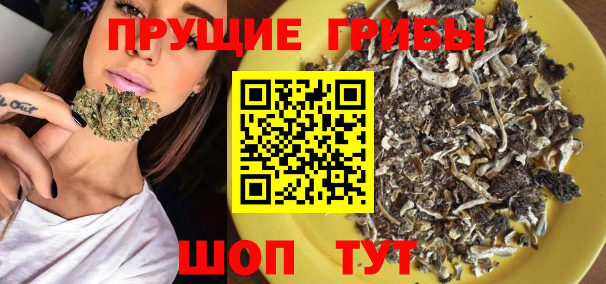 Нягань  Псилоцибиновые грибы Psilocybine cubensis  Вход с VPN 